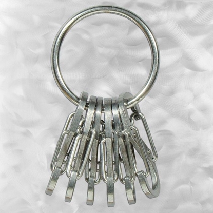 Изображение Breloczek Nite-Ize KeyRing+ 6 x micro karabiczyk ze stali nierdzewnej (KRGS-11-R3)