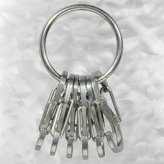 Изображение Breloczek Nite-Ize KeyRing+ 6 x micro karabiczyk ze stali nierdzewnej (KRGS-11-R3)