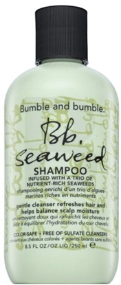 Picture of Bumble and bumble Bb. Seaweed Shampoo 250ml