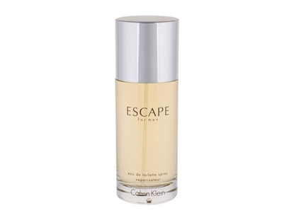 Picture of Calvin Klein Escape For Men EDT Perfume 100ml