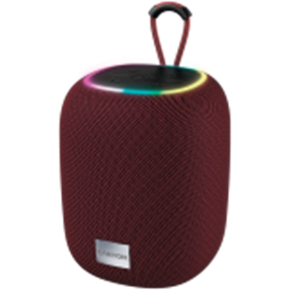 Изображение CANYON CNE-CBTSP8R