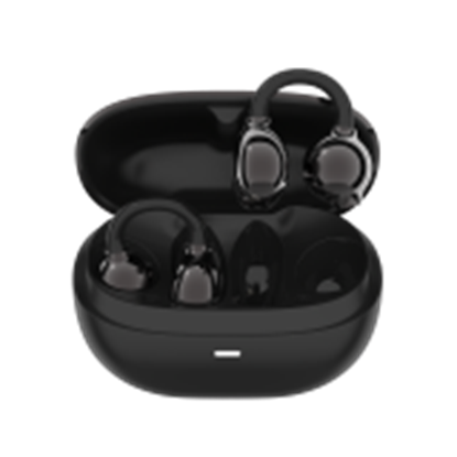 Изображение CANYON CNS-TWS14B