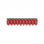 Изображение Celo 913800XHA CELO Gwodzie XHA 3x13mm do gwodziarki 800 szt. + gaz