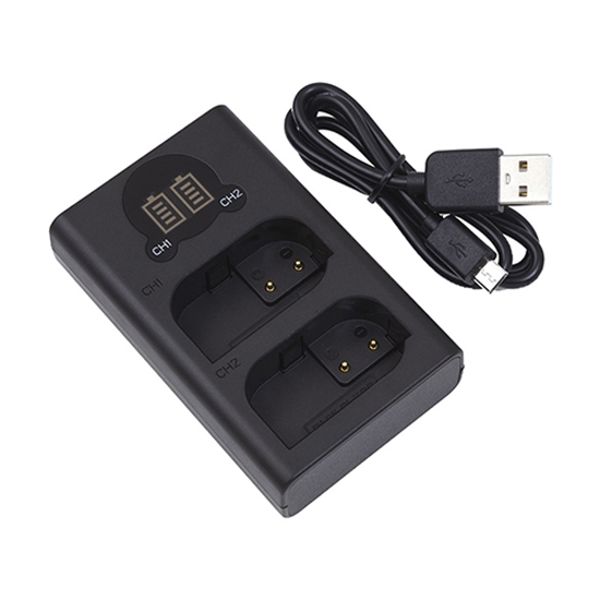 Picture of Charger PANASONIC DMW-BLK22, Dual
