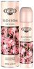 Изображение Cuba Blossom Perfume EDP 100 ml