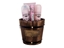 Attēls no Cuba Victory EDP 100ml
