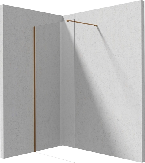 Picture of Deante cianka prysznicowa walk-in 100 cm