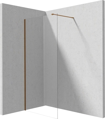 Attēls no Deante cianka prysznicowa walk-in 120 cm