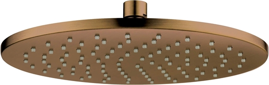 Picture of Deante Deante Gowica prysznicowa okrga - 250 mm