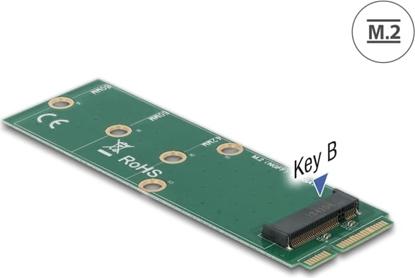 Attēls no Delock Adapter mSATA to M.2 Key B slot