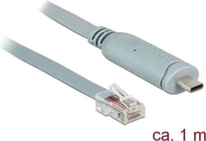 Attēls no Delock Adapter USB 2.0 Type-C™ male > 1 x Serial RS-232 RJ45 male 1.0 m grey