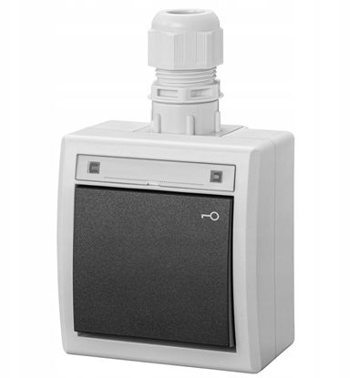Picture of Elektro-Plast AQUANT 2K natynkowy cznik zwierny klucz IP65 szary 5007-65