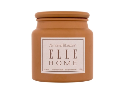 Attēls no Elle Home Almond Blossom Scented Candle 350g
