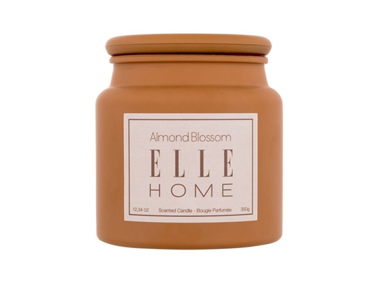 Picture of Elle Home Almond Blossom Scented Candle 350g
