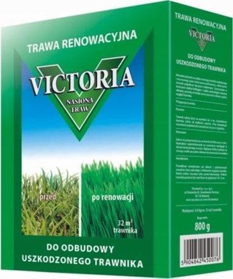 Picture of Flora Trawa nasiona Victoria do odbudowy trawnika 0.8kg