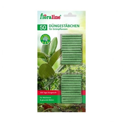 Изображение FLORALINE mēslojums - nūjiņas zaļajiem augiem 50gb.