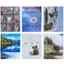 Picture of Fotoalbums 10x15/24 P4624