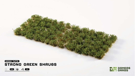 Picture of Gamers Grass Strong Shrubs