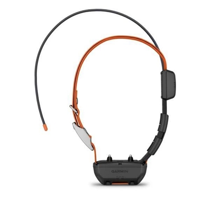 Picture of Garmin Alpha TT25 GPS collar, (alt MCU), EU