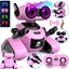 Attēls no Gigo Robot róowy zdalnie sterowany