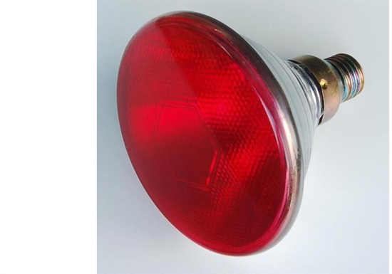 Picture of Helios Promiennik podczerwieni E27 100W PAR38RB PRO-0020