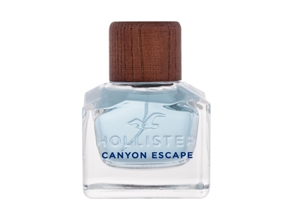 Picture of Hollister Canyon EDT 50ml
