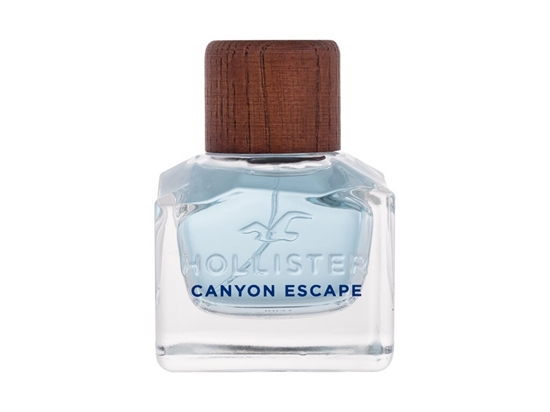 Picture of Hollister Canyon EDT 50ml