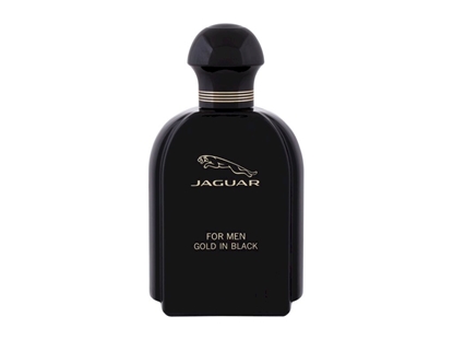 Изображение Jaguar for Men EDT 100ml