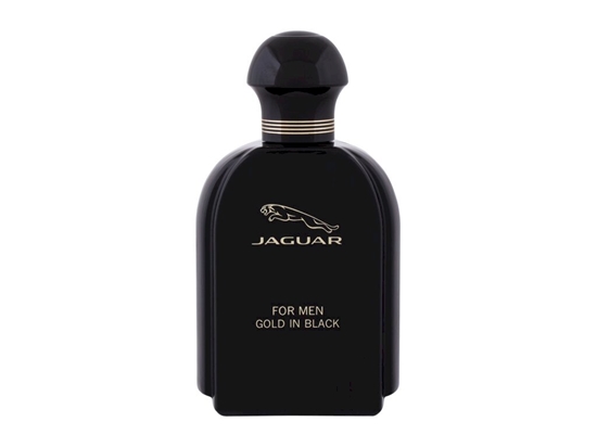 Изображение Jaguar for Men EDT 100ml