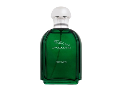 Изображение Jaguar Jaguar EDT 100ml