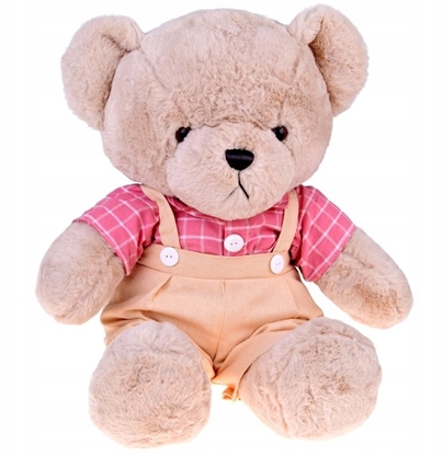 Attēls no Jokomisiada Pluszowy MI - beowy Filip 58cm w róowej VINTAGE koszuli ZA5923 A