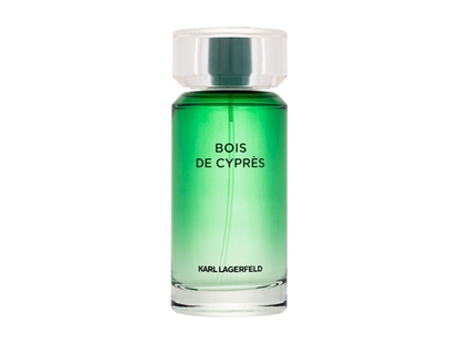 Изображение Karl Lagerfeld Les Parfums Matieres EDT 100ml