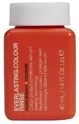 Picture of Kevin Murphy, Everlasting Colour Rinse, Hair Condi