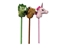 Attēls no Koala Games G2587 Plush With Stick & Sound (Random)