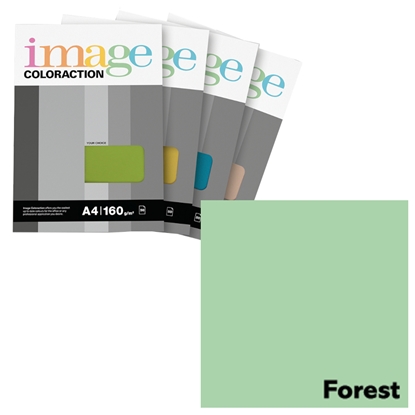 Picture of Krāsains papīrs A4, 50 loksnes, 160g/m2, pasteļzaļā krāsa, Image Coloraction