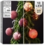 Attēls no Lampki choinkowe Decorative Lighting Lampki Bombki wiecce 10 led Fioletowe 4 cm ORION na Baterie