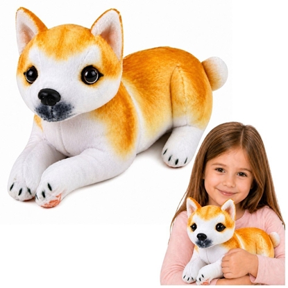Picture of LeanToys Pluszowy Piesek Shiba Inu Przytulanka Maskotka Pluszak Pies Mikki 25 cm EDUKAMP