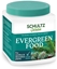 Attēls no MAGNET SCHULZ FERTILIZER EVERGREEN FOOD 900G