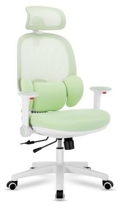 Picture of MarkAdler Ergonomiczny fotel dla dzieci Mark Adler Junior 6.3 Green