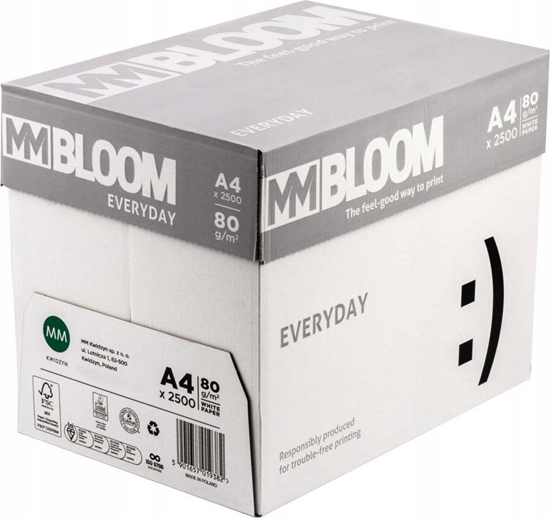 Изображение MM Kwidzyn Papier ksero Everyday A4 80g 500 arkuszy