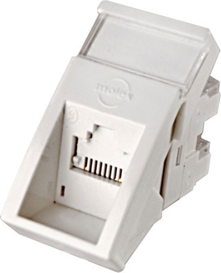Изображение Molex C6 UTP 1X RJ-45 22.5X45MM BE