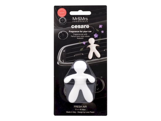 Изображение Mr&Mrs Fragrance Cesare Car Air Freshener 1pc / Fresh Air