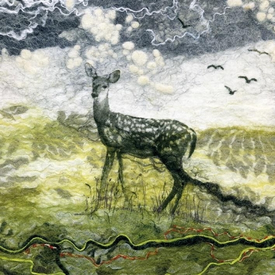 Picture of Museums & Galleries Karnet kwadrat z kopert Deer