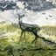 Изображение Museums & Galleries Karnet kwadrat z kopert Deer