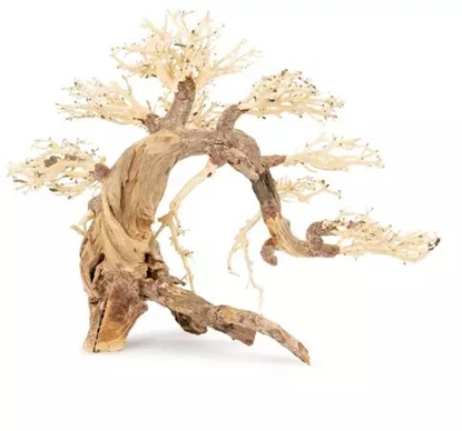 Изображение Norimpex Tonce drzewo Bonsai nr 13 50x40
