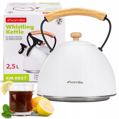 Picture of Ofenbach CZAJNIK NIEELEKTRYCZNY 0857 BIAY 2.5 L