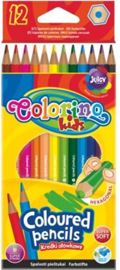 Picture of Patio Kredki oówkowe Colorino - 12 kolorów
