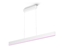 Picture of Philips Hue Ensis pendant white 79W 24V | 79 W | White and Colour Ambiance 2000-6500K