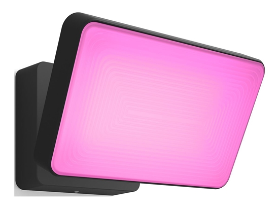 Picture of Philips Hue WCA Discover Outdoor Floodlight | 2000-6500 Hue White Colour Ambiance