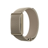 Picture of Polar LOOP GEN2 GLD/SAND S-L